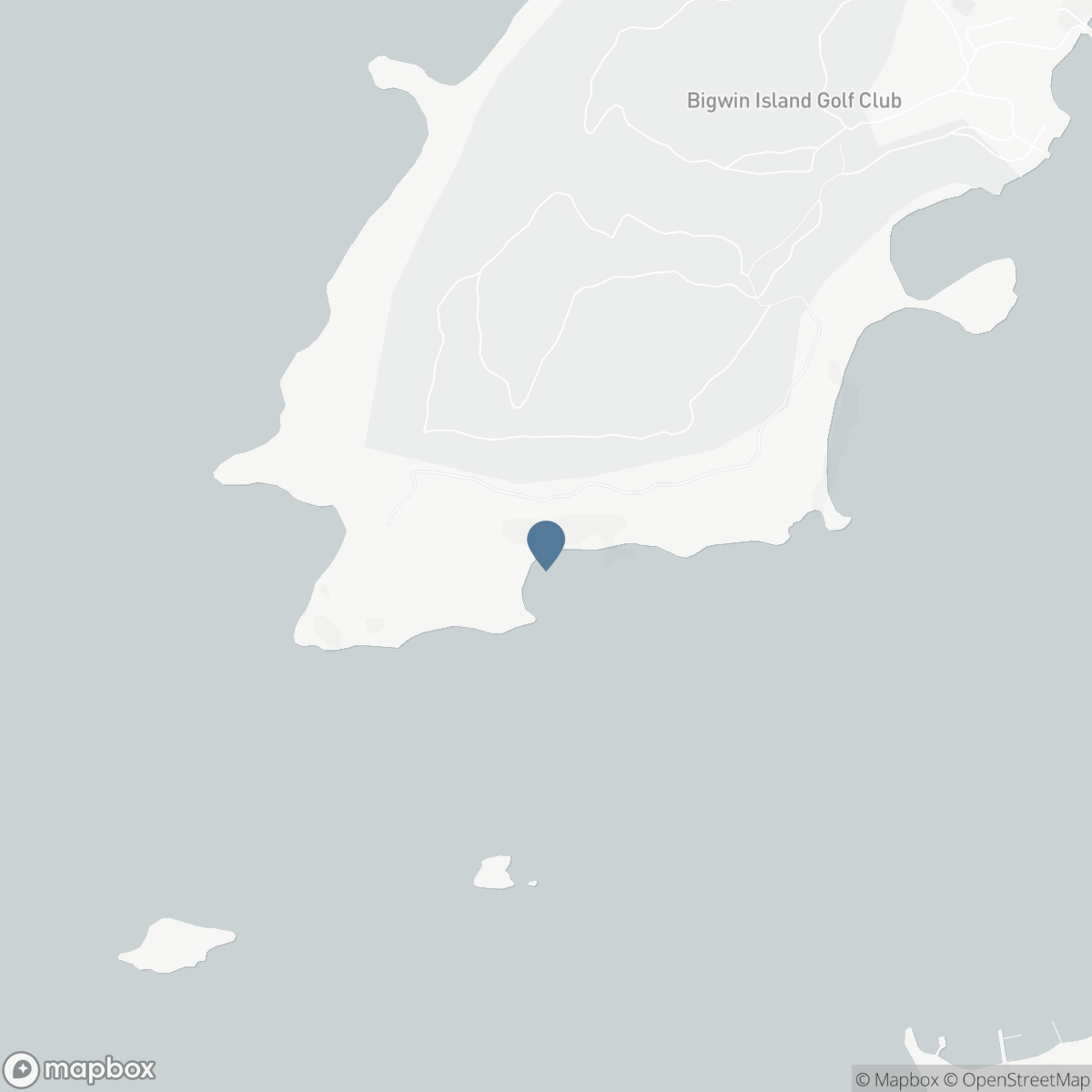 66 BIGWIN ISLAND, Baysville, Ontario P0B 1A0